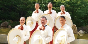マリアッチ アガベ「MARIACHI AGAVE」